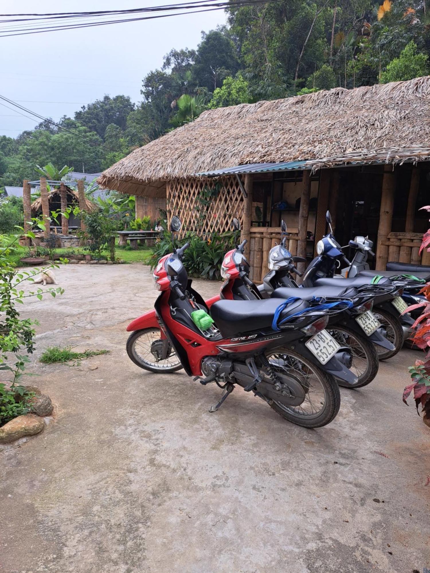 Homestay Field - Bungalow, Ha Giang Loop Tour, Motorbikes Rental Екстериор снимка
