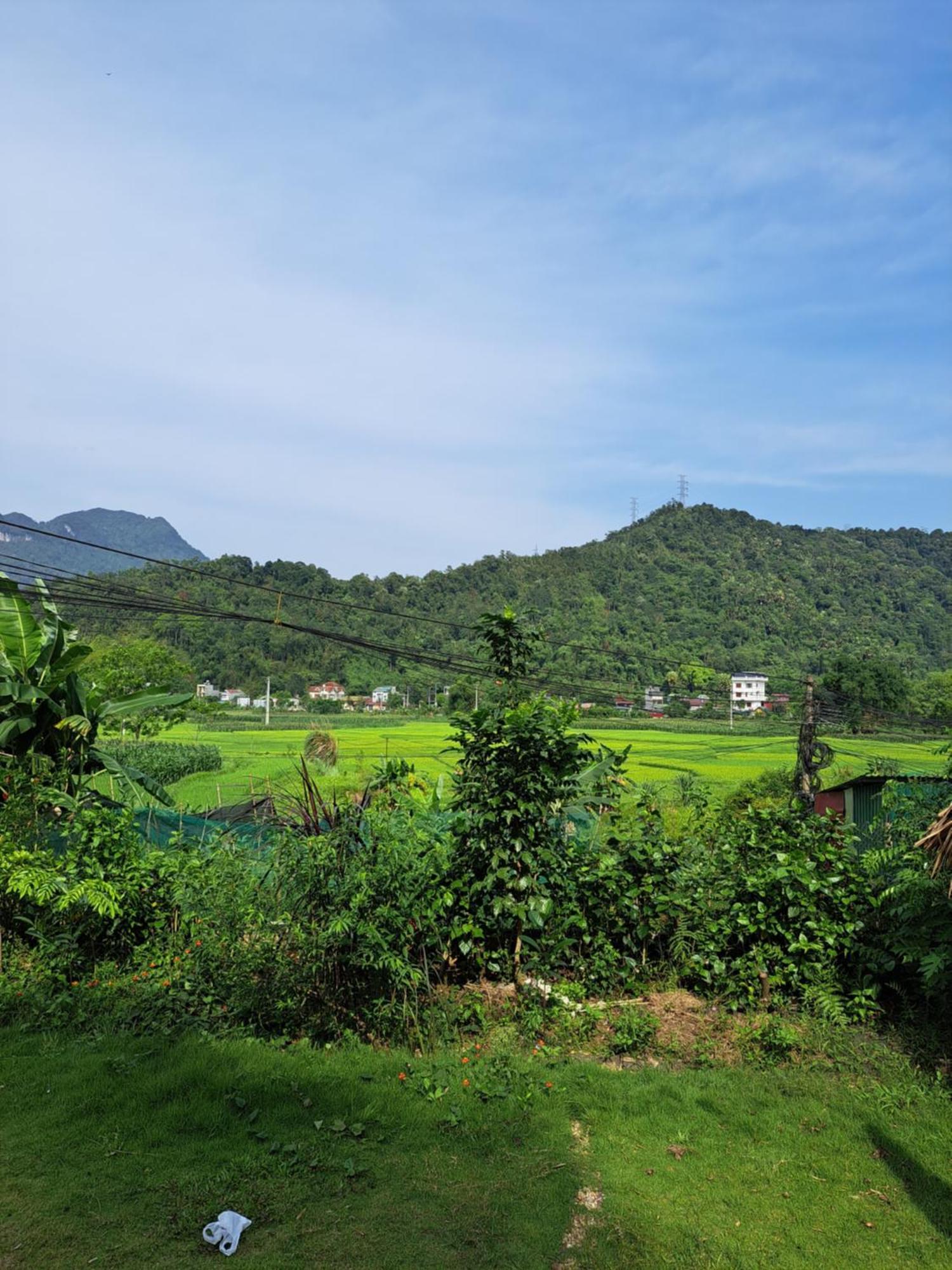 Homestay Field - Bungalow, Ha Giang Loop Tour, Motorbikes Rental Екстериор снимка