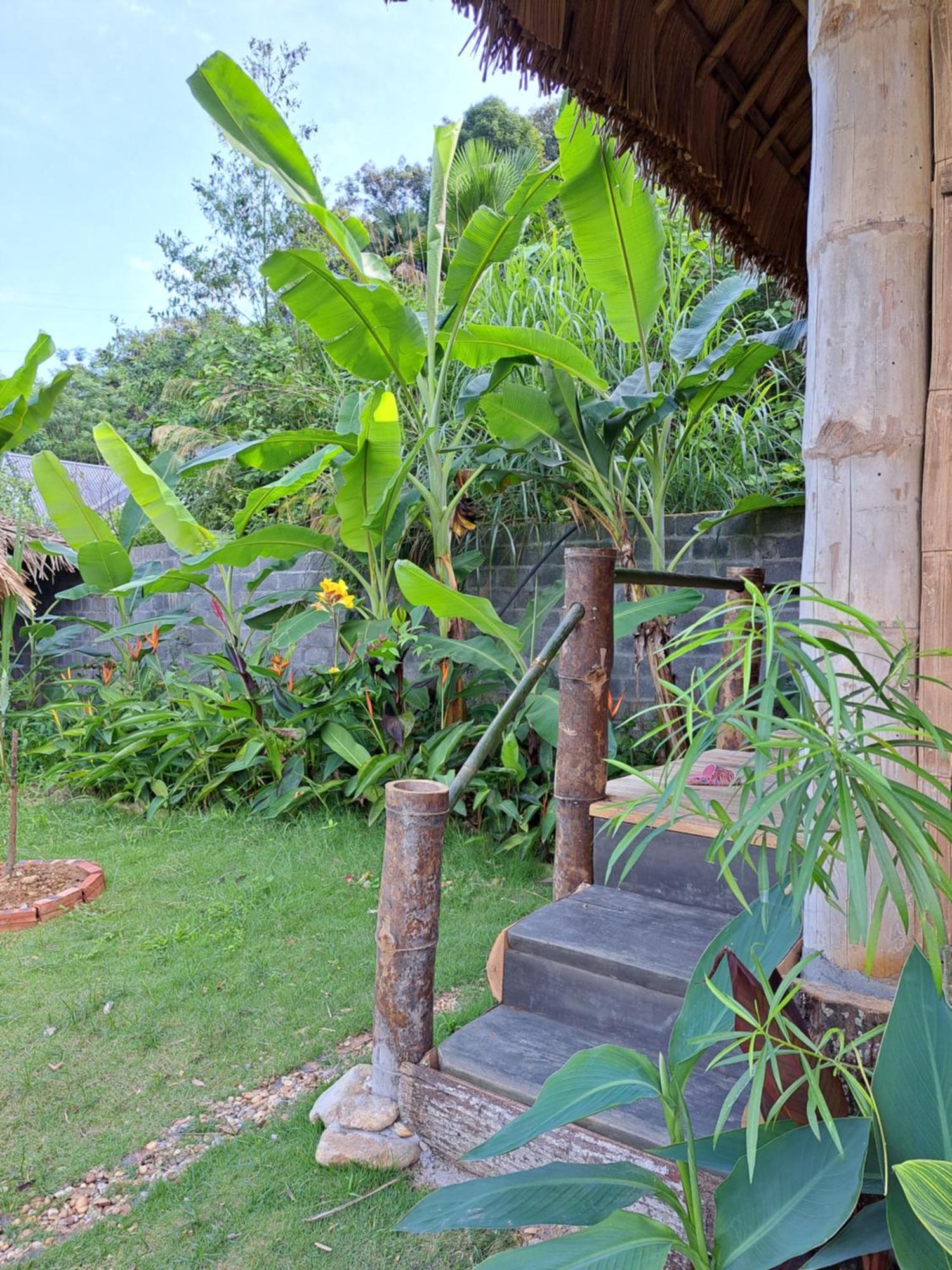 Homestay Field - Bungalow, Ha Giang Loop Tour, Motorbikes Rental Екстериор снимка
