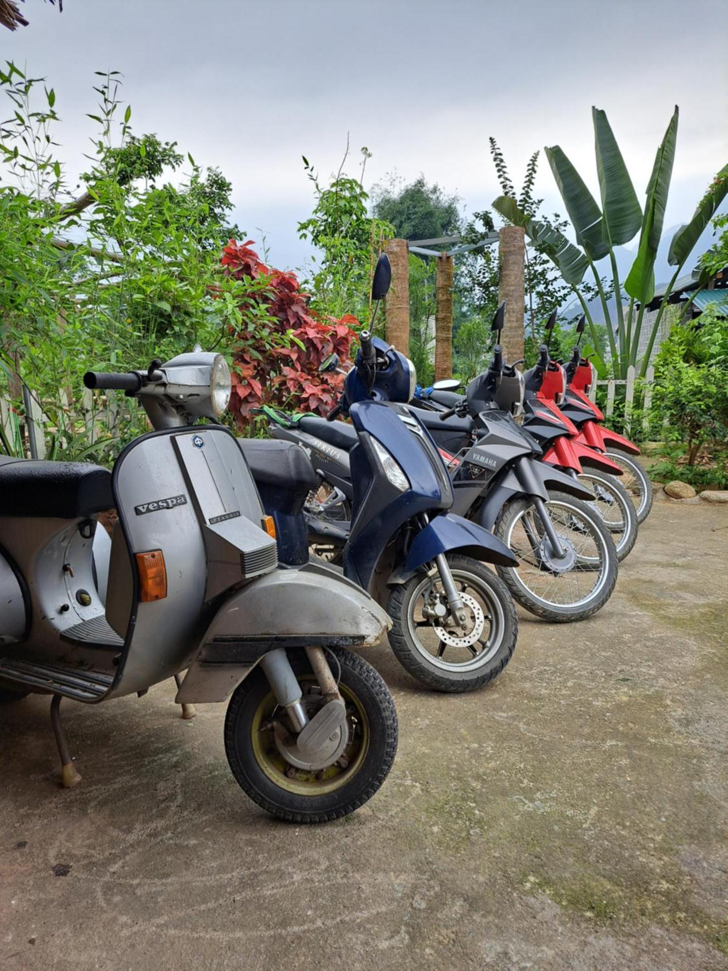 Homestay Field - Bungalow, Ha Giang Loop Tour, Motorbikes Rental Екстериор снимка