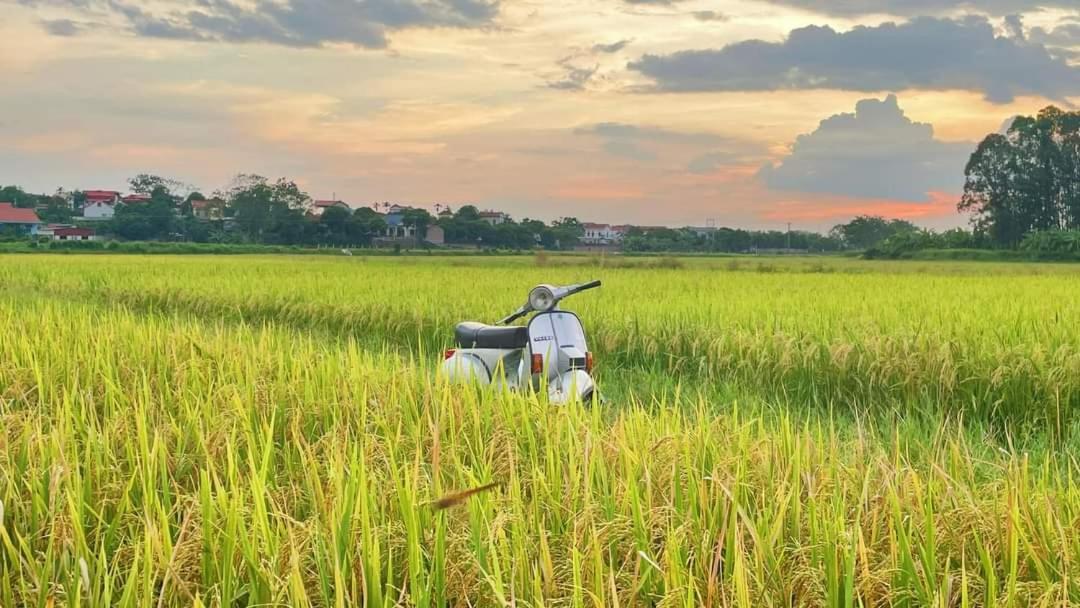 Homestay Field - Bungalow, Ha Giang Loop Tour, Motorbikes Rental Екстериор снимка