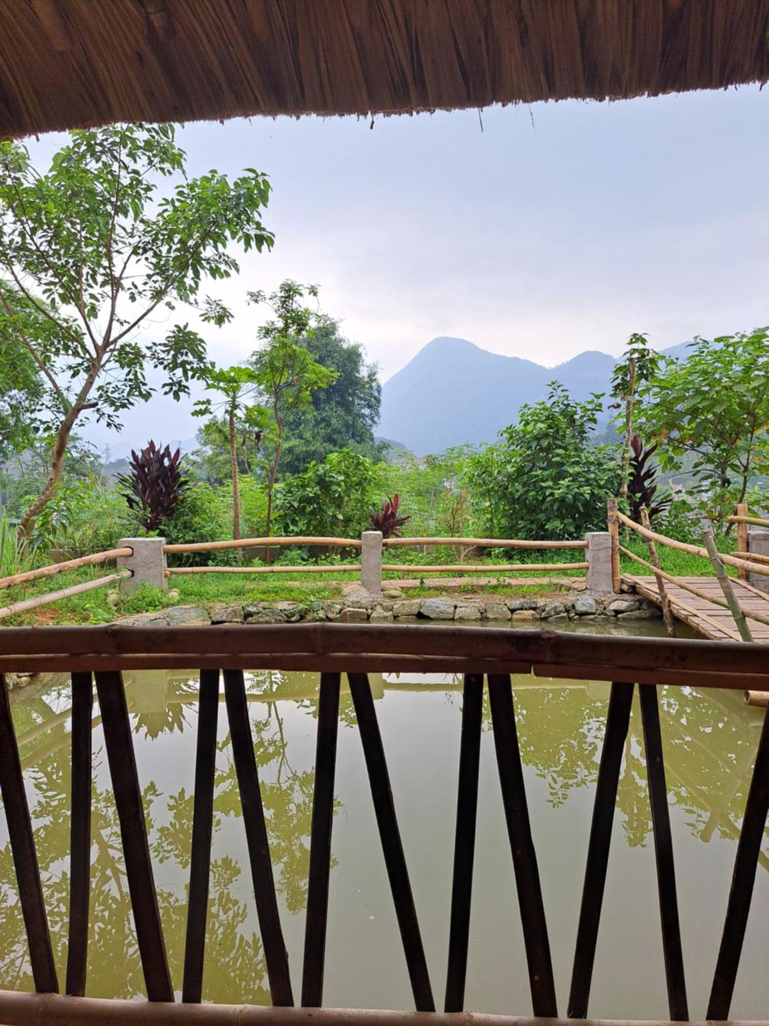 Homestay Field - Bungalow, Ha Giang Loop Tour, Motorbikes Rental Екстериор снимка
