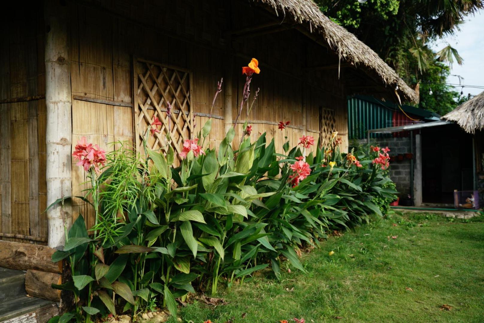 Homestay Field - Bungalow, Ha Giang Loop Tour, Motorbikes Rental Екстериор снимка